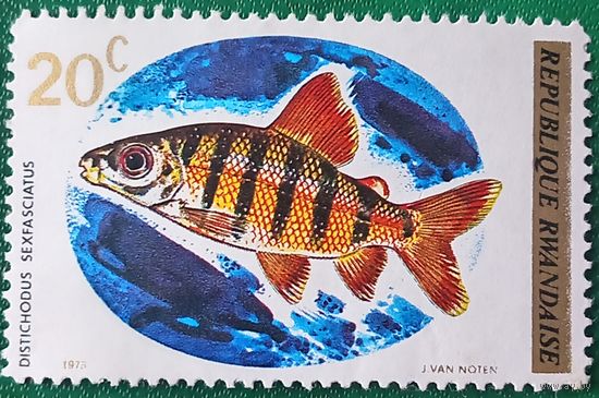 Руанда 1973. Шестиполосый дистиход