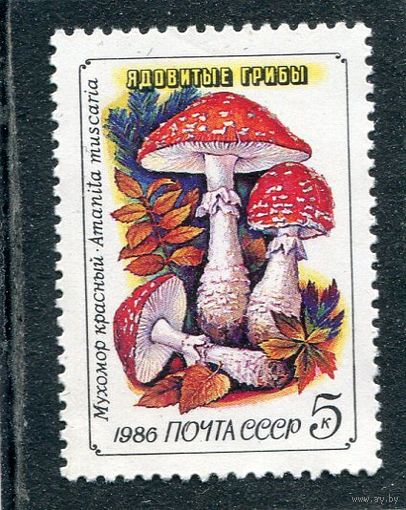 СССР 1986. Ядовитые грибы. Мухомор красный