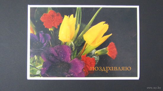 Открытка "Поздравляю!"