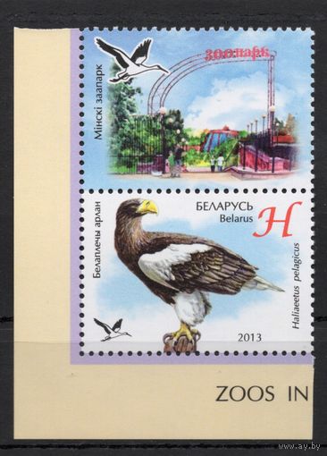 Беларусь 2013. Фауна. Птица Белоплечий орлан. 1 марка+купон 966 (662)