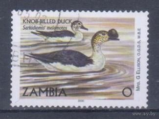 [2440] Замбия 2000. Фауна.Птицы.Утки. Гашеная марка.