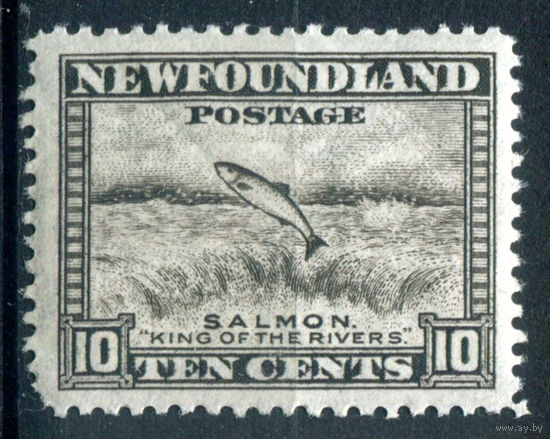 Британские колонии - Ньюфаундленд - 1932/41г. - лосось, перфорация 12 1/2, 10 с - 1 марка - MNH, на клее есть несколько небольших полосок-трещинок [Mi 178 C]. #3-WB-98-A-1