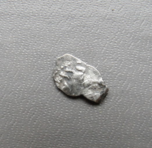 Чешуйка петра