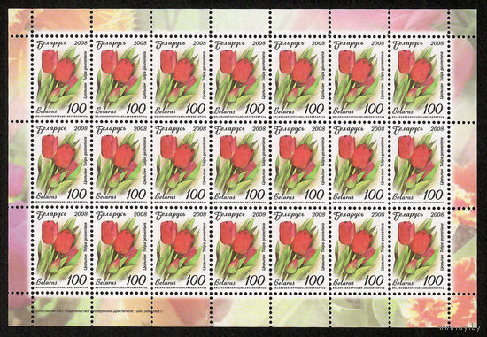 Беларусь. 2008. Стандарт.  Тюльпан (100р) (з.368-2008) Лист