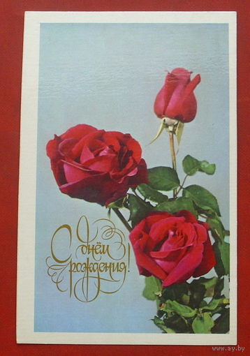 С днём рождения! Чистая. 1979 года. Фото Резникова. 1728.