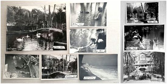 Фото. Новый Афон. Гагра. Абхазия. 1967г. Цена за 1шт.