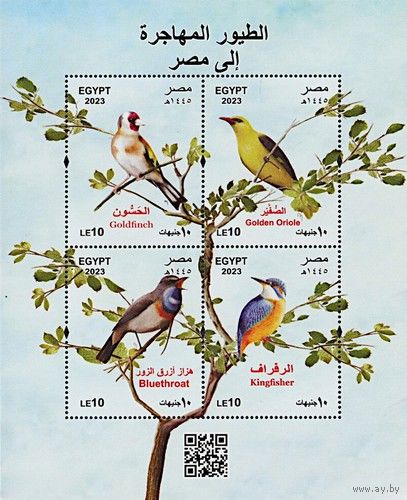 Египет 2024 Фауна. Птицы. Блок