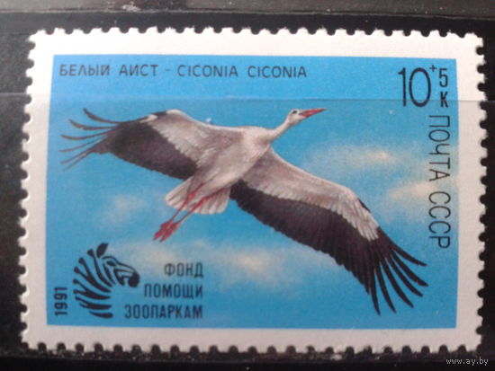 1991 Белый аист**