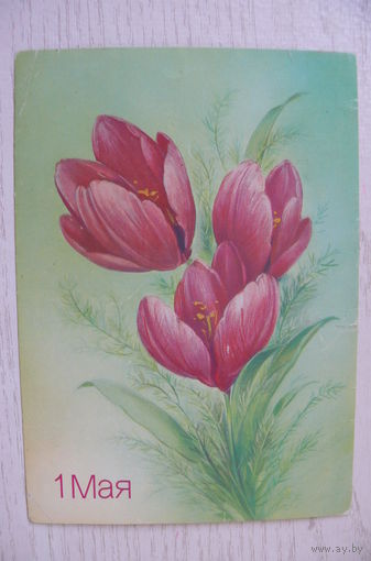 Макаров В., С днем рождения! 1985, 1986, чистая, ДМПК.