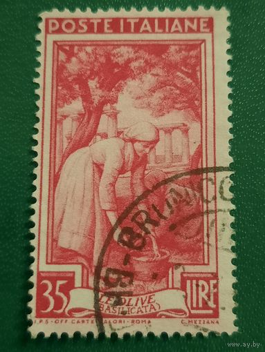 Италия 1950. Сборщица оливок