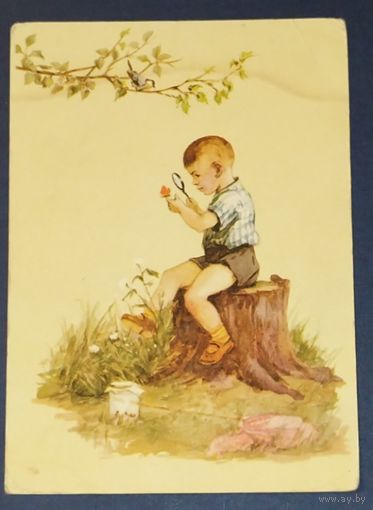 Оскорбин, 1956