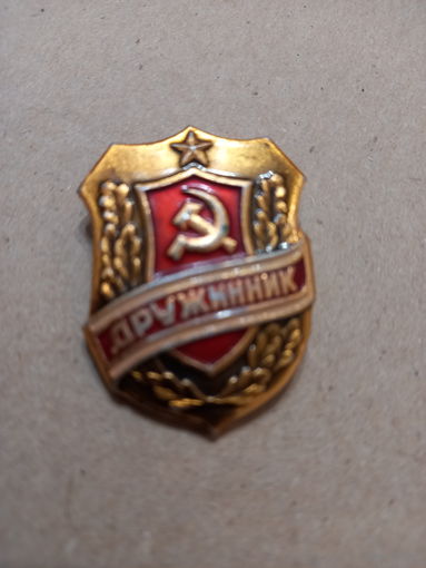 Значок дружинник