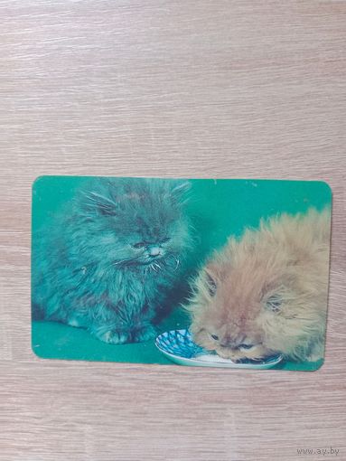 Календарик 1992