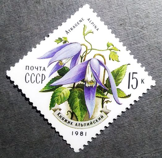 Марка СССР 1981 год Цветы Карпат