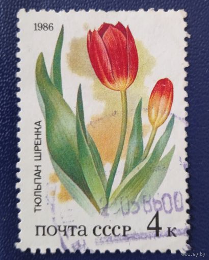Ссср