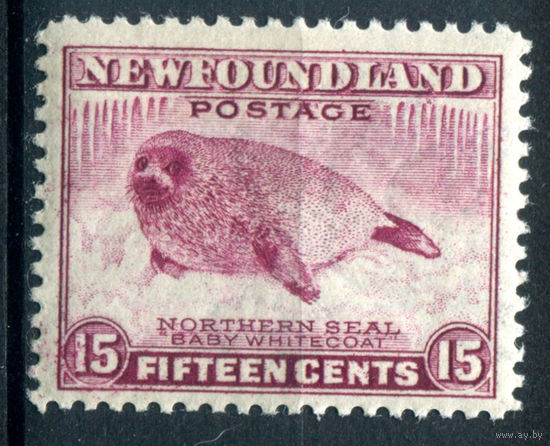 Британские колонии - Ньюфаундленд - 1932/41г. - тюлень, перфорация 12 1/2, 15 с - 1 марка - MLH с трещинками на клее [Mi 180 C]. #3-WB-98-A-1