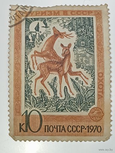 Распродажа коллекции с рубля ! Марки СССР  . Животные .