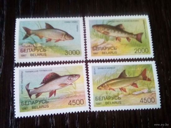 Беларусь 1997  рыбы