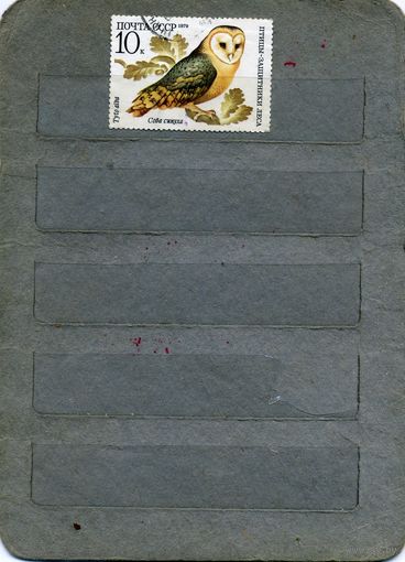 СССР, 1979, ПТИЦЫ - защитники леса, 1м