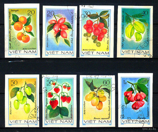 1981 Вьетнам. Фрукты