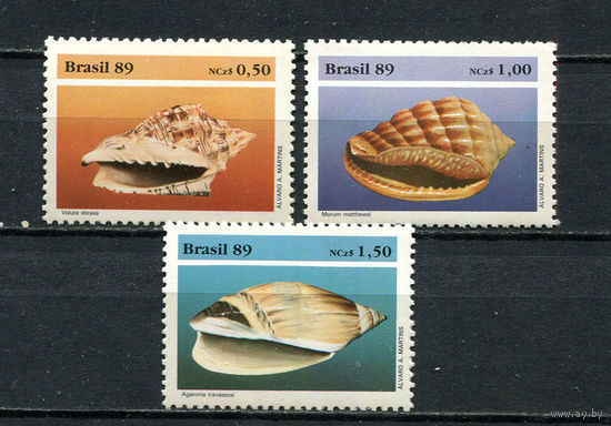 Бразилия - 1989 - Моллюски. Ракушки - [Mi. 2318-2320] - полная серия - 3 марки. MNH.  (Лот 85FJ)-T25P16
