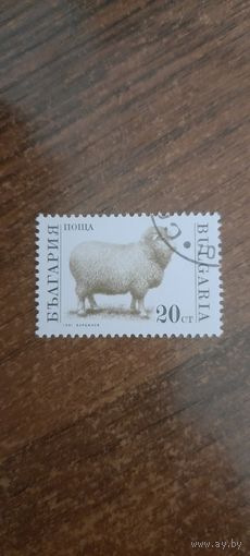Болгария 1991. Овца Барджиева. Марка из серии