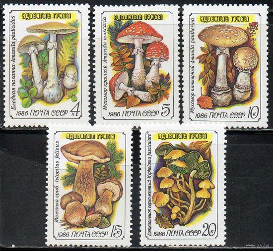 Ядовитые грибы СССР 1986 год (5724-5728) серия из 5 марок