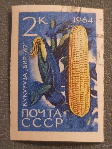 СССР 1964. Кукуруза ВИР-42. Марка из серии