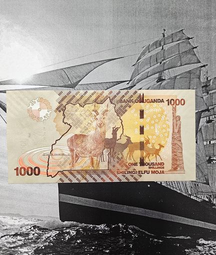 1000 Шиллингов Уганда