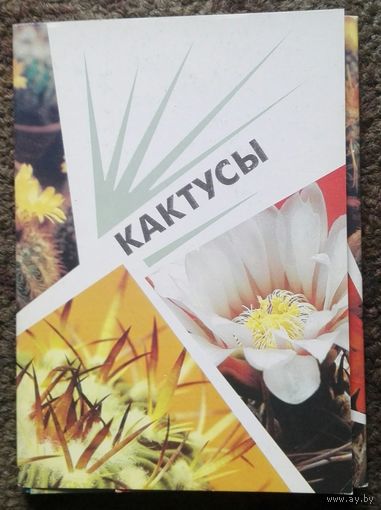 Набор открыток "Кактусы". СССР, 1990 год
