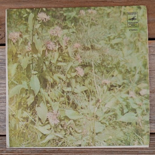 Миньон (7") - ВИА "Арника" - Песни А. Экимяна - АЗГ