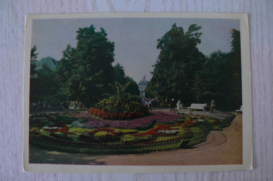 Львов. Сквер на проспекте В.И. Ленина; 1962, чистая.