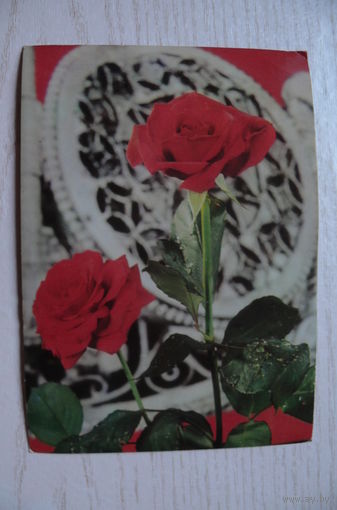 Йорданов Л., Розы, 1973, чистая (изд. Болгария).