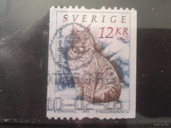 Швеция 1993 Рысь