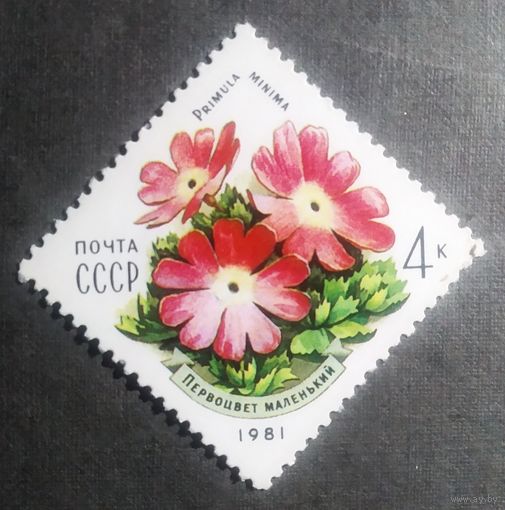 Марка СССР 1981 год Цветы Карпат