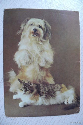 Ткаченко С., Друзья; 1990, чистая.