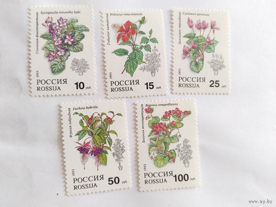 Россия  1993  5 м