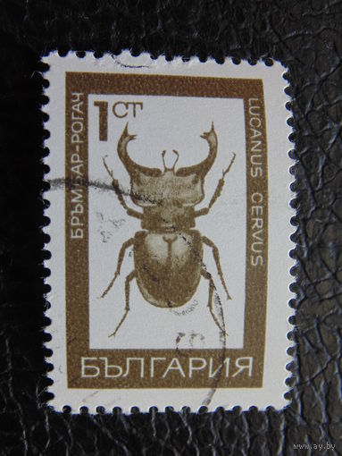 Болгария 1968 г. Насекомые. Жук-олень.