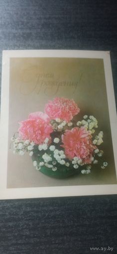 Открытка с днём рождения. 1982. Савалова. Чистая.