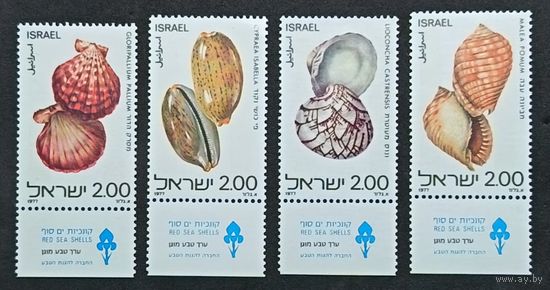 Полная серия из 4 марок с купонами 1977г. Израиль "Ракушки Красного моря" MNH