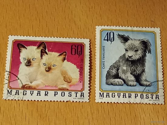 Венгрия 1974 Фауна. Котята и щенок. 2 марки