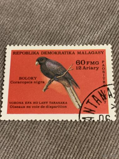 Мадагаскар 1987. Птицы. Coracopsis nigra. Марка из серии