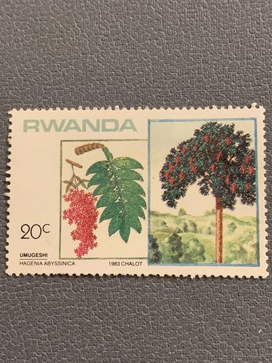 Руанда 1983. Флора. Hagenia Abyssinica