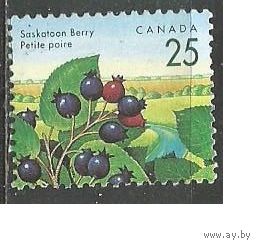 Канада. Лесные ягоды. Ирга. 1992г. Mi#1313.