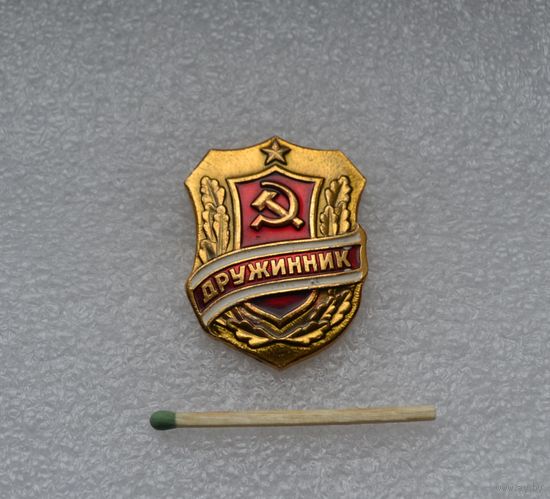Дружинник.