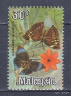 [830] Малайзия 1970. Фауна.Бабочка. Гашеная марка.