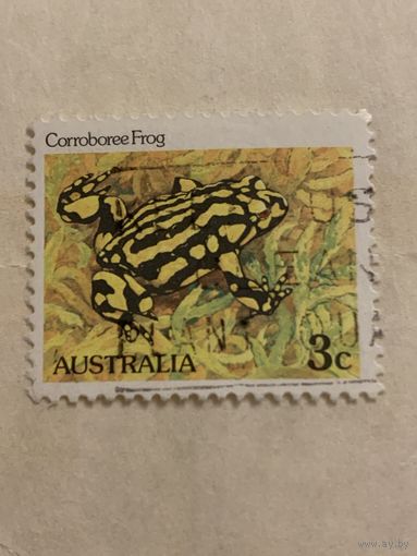 Австралия. Corroborre Frog