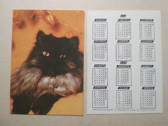 Карманный календарик. Котик. 1991 год
