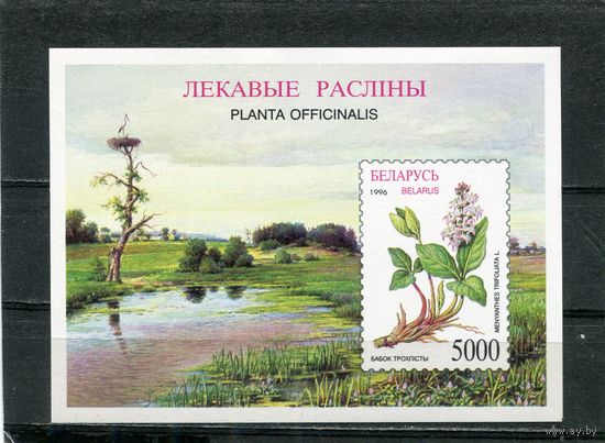Беларусь 1996. Лекарственные растения. Блок