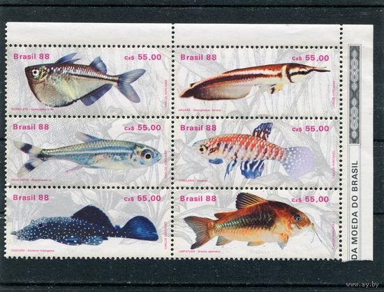 Бразилия. Рыбы южных морей. Блок